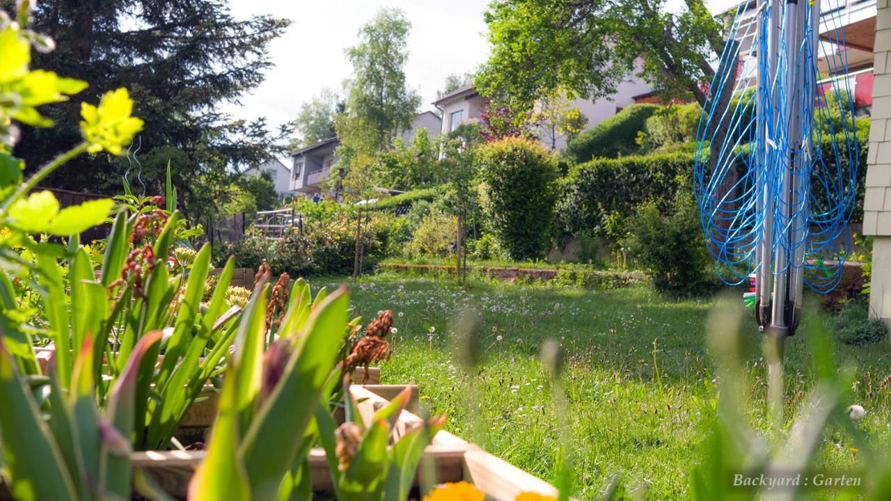 Entire House In Schwarzwald With Mountain View, Private Sauna, Gym, Garden And Terraces Unterkirnach Exterior photo