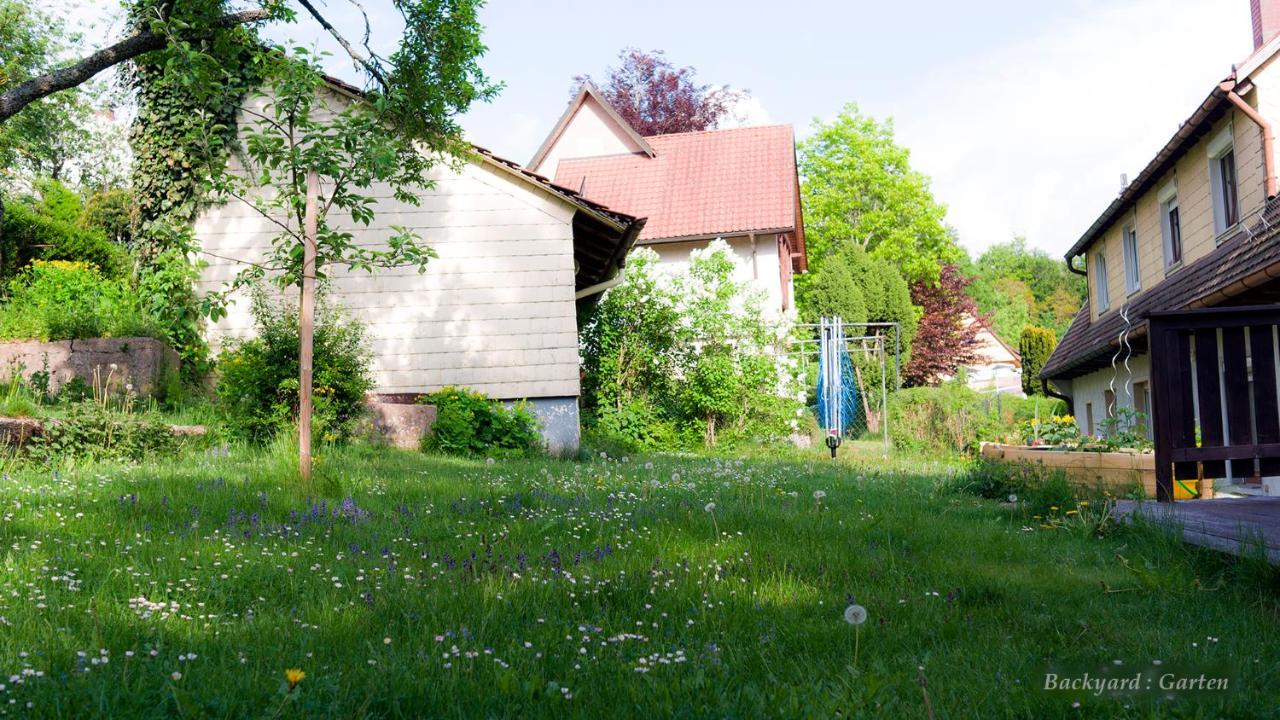 Entire House In Schwarzwald With Mountain View, Private Sauna, Gym, Garden And Terraces Unterkirnach Exterior photo